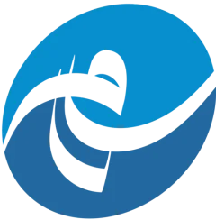 Salaam logo